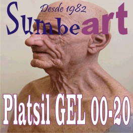 PLATSIL GEL 00-20