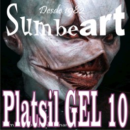 PLATSIL GEL 10